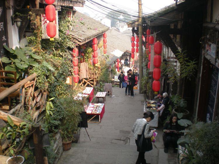可爱小猫向上跳